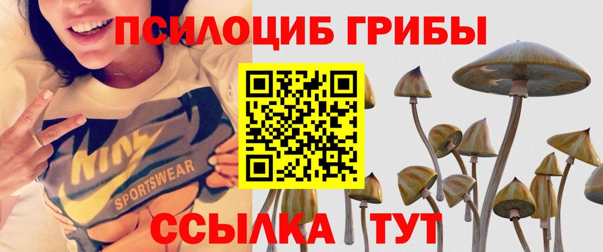 Обнинск  Галлюциногенные грибы Psilocybe  Галлюциногенные грибы Magic Shrooms  Вход с VPN 